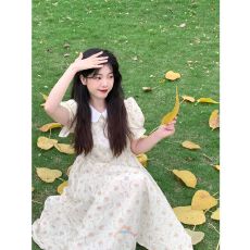 批发茶褐法式娃娃领碎花<b class='q'>连衣</b>裙女夏季新款甜美收腰学院风小清新中<b class='q'>长裙</b>