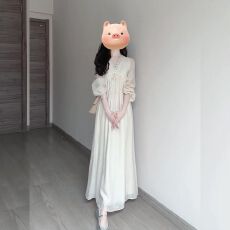批发内里双层 法式温柔风V领<b class='q'>蕾丝</b>长袖<b class='q'>连衣裙</b>女