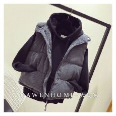 批发<b class='q'>秋</b>冬季新款马甲女2025年新款棉衣外套学生韩版大码坎肩背心