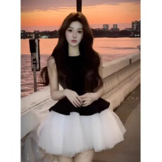 批发富家千金气质公主蓬蓬<b class='q'>连衣裙</b>女春秋2026新款<b class='q'>丝绒</b>拼接网纱无袖短裙
