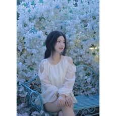 批发法式挂脖露肩挖肩灯笼袖<b class='q'>长袖</b>上衣女秋季设计感小众荷叶边雪纺衬衫
