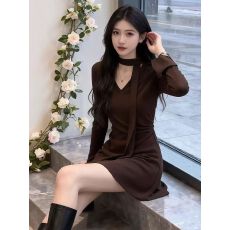 批发韩系收腰褶皱打底磨毛裙子气质小个子不规则高级感V领秋冬<b class='q'>连衣裙</b>