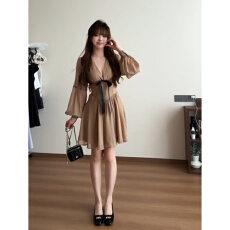 批发法式复古棕色V领<b class='q'>雪纺</b>长袖连衣裙女夏季高级感气质收腰显瘦A字短裙