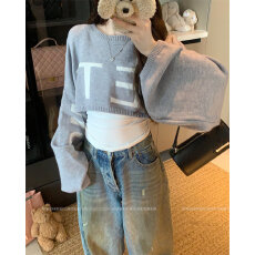 批发<b class='q'>北极</b><b class='q'>绒</b>  辣妹字母提花长袖针织衫2026春秋季宽松显瘦百搭上衣女