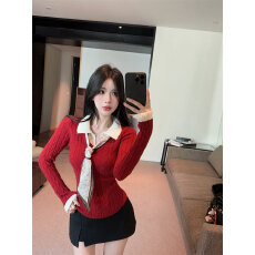 批发<b class='q'>北极</b><b class='q'>绒</b>洗水 港味风麻花假两件长袖针织春秋季修身显瘦内搭上衣