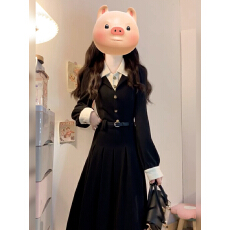 批发黑色假两件连衣<b class='q'>裙</b>子女秋冬季新款高级感教资面试通勤气质长<b class='q'>裙</b>