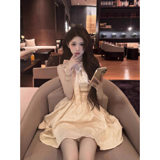 原版面料有内里拉链 法式纯欲风蝴蝶结连衣裙女夏季收腰a