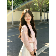 批发已出货polo翻领<b class='q'>长袖</b>衬衫女秋季设计感小众修身百搭韩系上衣
