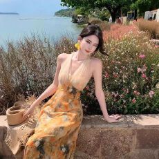 批发露背法式气质复古印花网纱抹胸挂脖连衣裙女2026<b class='q'>夏</b>季海边度假裙子
