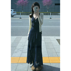 批发茶歇法式蓝色碎花<b class='q'>连衣裙</b>子女夏季2025新款海边度假气质巨好看长裙