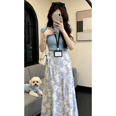 批发韩系高级感套装<b class='q'>连衣裙</b>子<b class='q'>女</b>2026夏季新款蓝色无袖上衣碎花裙两件套