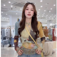 批发封后轻奢设计春夏新款时髦个性晕染印花网纱上衣