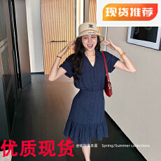 批发张阿星蓝调笔记藏青色miu系立体<b class='q'>提花</b>少女感减龄法式<b class='q'>连衣裙</b>