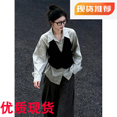 巨好看的衬衣女款2026秋新款爆款淡人高知穿搭通勤气质两件套上衣
