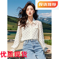 批发法式轻熟风上衣小众设计感别致独特绝美小衫白色<b class='q'>波点</b><b class='q'>雪纺</b><b class='q'>衬衫</b>女秋