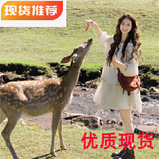 批发<b class='q'>白色</b>仙女<b class='q'>连衣裙</b>女秋夏设计感小众小个子绝美独特漂亮娃娃裙泡泡袖