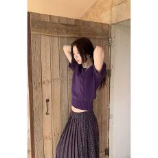 批发<b class='q'>韩版</b>复古设计感紫色麻花短袖<b class='q'>毛衣</b>圆领套头百搭显瘦针织衫