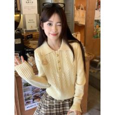 批发【官图特价~<b class='q'>包</b><b class='q'>芯</b>纱 原版质量】麻花毛衣女秋冬修身打底针织衫短款