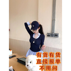 批发项天鹅er 假两件长袖连衣裙女2025秋季新款a字裙衬衫裙拼接裙子