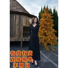 批发六指导 南法假日 温柔V领修身针织上衣女秋高腰半身裙设计感套装