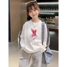 批发纯棉儿童<b class='q'>长袖</b><b class='q'>T</b><b class='q'>恤</b>秋季新款男女童潮牌三条杠百搭洋气上衣