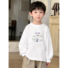 批发纯棉 带螺纹袖口<b class='q'>男童</b><b class='q'>长袖</b>T恤春秋装新款儿童时尚圆领百搭t恤