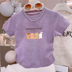 批发1*1纯棉高弹力<b class='q'>女童</b>短<b class='q'>袖</b><b class='q'>t</b><b class='q'>恤</b>夏季新款抽褶短款收腰百搭洋气<b class='q'>T</b><b class='q'>恤</b>