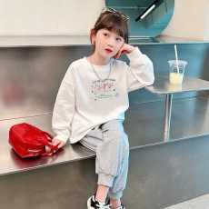 批发纯棉 带螺纹袖口女童<b class='q'>长袖</b><b class='q'>T</b><b class='q'>恤</b>新款<b class='q'>儿童</b>洋气圆领百搭<b class='q'>t</b><b class='q'>恤</b>