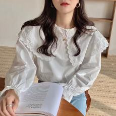批发<b class='q'>韩版</b>洋气女上衣春装新款设计感蕾丝刺绣花边衬衣大翻领衬衫