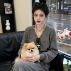 批发韩系简约灰色V领套头<b class='q'>毛衣</b>女秋季设计感收腰显瘦百搭<b class='q'>短款</b>针织上衣