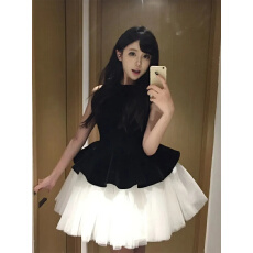 批发富家千金气质公主蓬蓬<b class='q'>连衣裙</b>女春秋2026新款丝绒<b class='q'>拼接</b>网纱无袖短裙