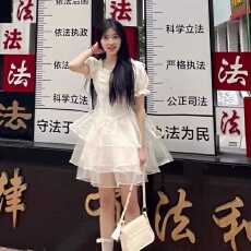 批发新款韩版时尚修身显瘦泡泡袖蝴蝶结在逃公主网纱<b class='q'>蓬蓬裙</b>连衣裙女夏