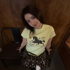 批发原版做法纯棉220克40支奥代尔食毛+手感圆领正肩短袖T恤女