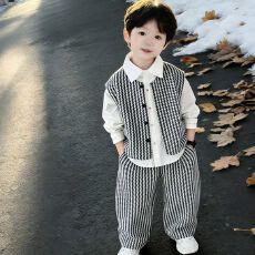 批发（原版面料复合牛奶丝）2026新款春装百搭衬衫马甲条纹三件套