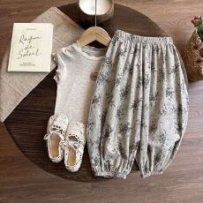 批发<b class='q'>女</b><b class='q'>童</b>夏季套装宝宝新款可爱洋气薄款森系儿童灯笼裤两件套防蚊裤
