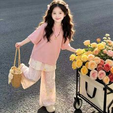 批发<b class='q'>女</b><b class='q'>童</b>夏季套装2026新款洋气儿童短袖屁帘裤夏装女大童时髦两件套潮