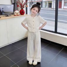 批发<b class='q'>女</b><b class='q'>童</b>高级花边短袖可爱套装2026新款中大童夏季休闲阔腿裤两件套