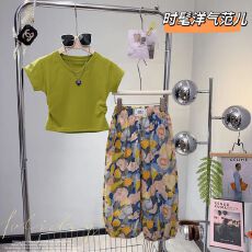 批发<b class='q'>女</b><b class='q'>童</b>短袖套装2024夏季新款儿童纯色T恤油画休闲防蚊裤两件套韩版