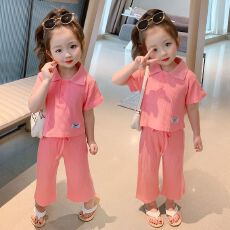 批发女<b class='q'>童</b><b class='q'>夏装</b><b class='q'>薄</b>款透气草莓刺绣娃娃领衬衫<b class='q'>套装</b>牛仔短裤宝宝休闲两件套