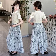 批发女<b class='q'>童</b><b class='q'>夏装</b><b class='q'>202</b>6年新款国风儿<b class='q'>童</b>半身裤裙子<b class='q'>夏</b>季薄款裙裤子中大<b class='q'>童</b>潮