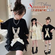 批发65精梳棉 女<b class='q'>童</b><b class='q'>夏季</b><b class='q'>中长</b>款短袖<b class='q'>T</b><b class='q'>恤</b>裙洋气小女孩蛋糕裙大<b class='q'>童</b>连衣裙子