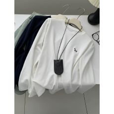 批发纯棉 2026春装新款今年流行爆款斑马刺绣长袖T恤女韩系上衣<b class='q'>打底衫</b>