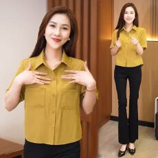 批发衬衫女短袖爆款<b class='q'>夏</b>季新款时尚洋气减龄小个子长袖衬衣女士半袖上衣