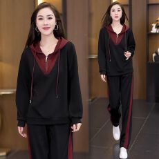 批发大码<b class='q'>休闲</b>时尚套装女2026秋季新款大码宽松洋气减龄连帽拼色两件套