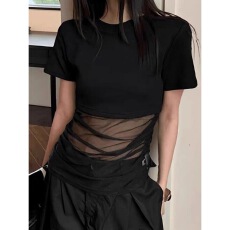 莱雅210克1*1小众酷飒拽姐网纱短袖t恤夏季新款上衣女