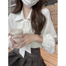 批发蝴蝶结<b class='q'>衬衫</b>女设计感小众新款春秋别致高级感长袖<b class='q'>OL</b>上衣