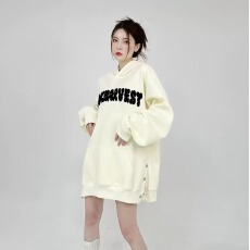 批发街头长袖百搭日系新款套头女宽松型时尚连帽<b class='q'>潮</b>流卫衣文艺气质绒衫