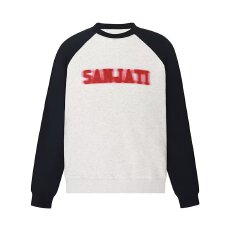 批发纯色流行时尚卫衣文艺<b class='q'>潮</b>流圆领新款宽松型简约绒衫套头长袖女街头