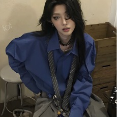 批发衬衫法式狮城春<b class='q'>秋</b>季上衣女宽松休闲设计高级感长袖衬衣2026新款