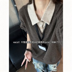 批发老钱风假两件翻领<b class='q'>针织衫</b>女款秋季宽松休闲百搭痞帅长袖polo上衣服
